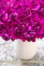 wedding flowers florist- Carnations